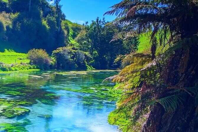 Private Hobbiton, Waitomo Caves, Blue Spring & Hamilton Transfer - FAQs