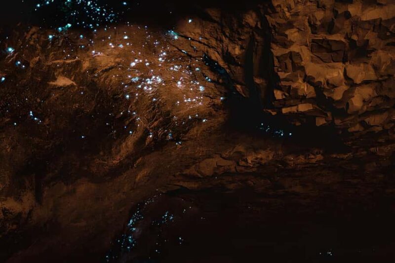 Private Hobbiton & Waitomo glowworm cave Day Trip - FAQ