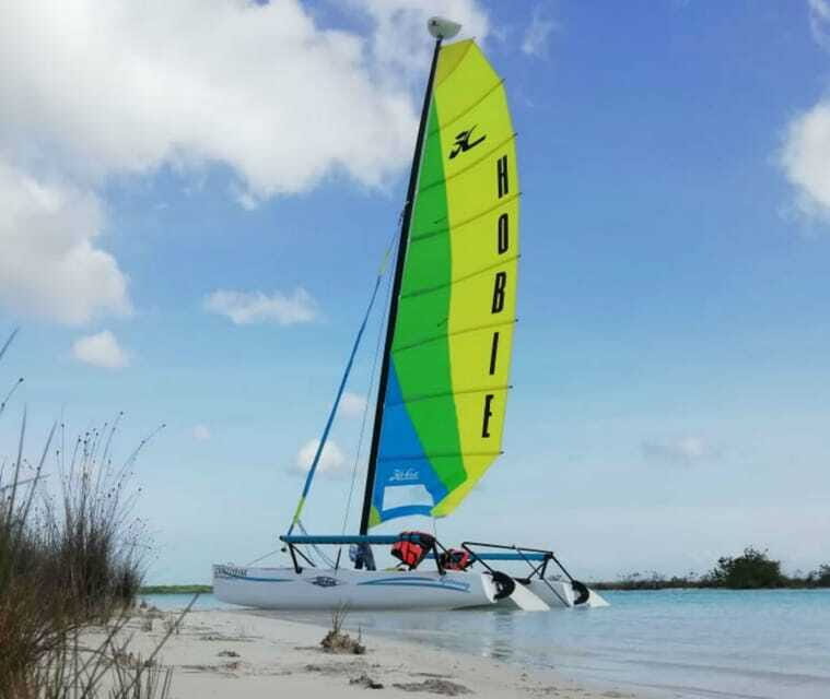 Private Hobie Cat Sailing Tour - Authentic Encounters and Guided Insights