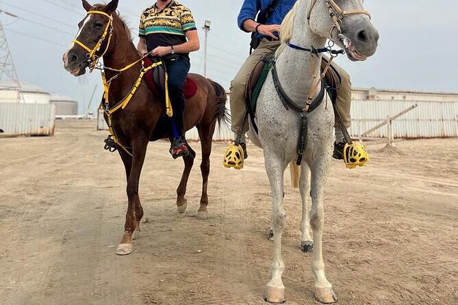 Private Horse and Camel Riding Experience in Doha - FAQ