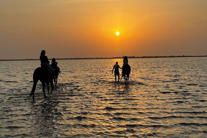 Private Horse Riding Experience at Red Sea - Key Points