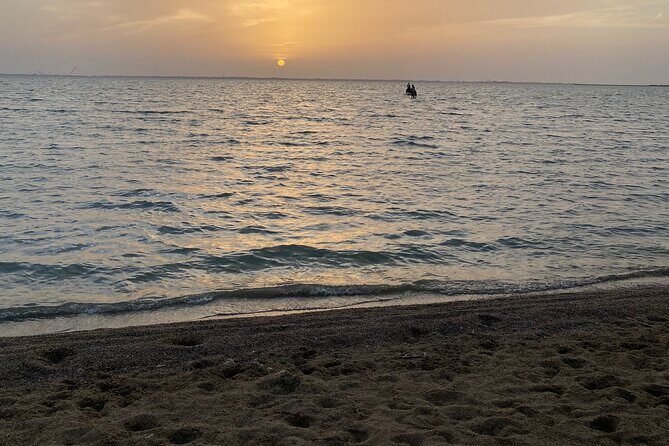 Private Horse Riding Experience at Red Sea - Why This Tour Offers Good Value