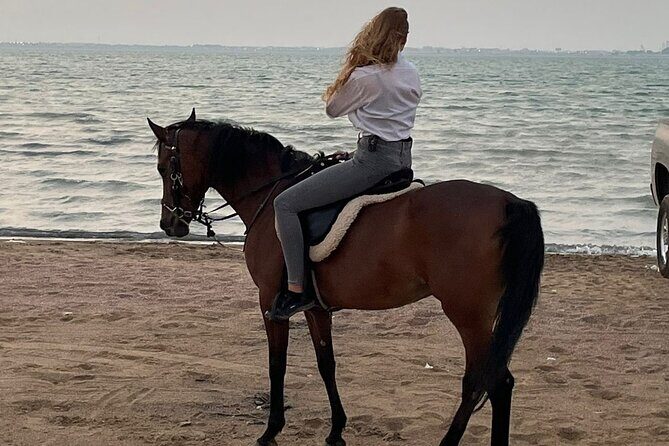 Private Horse Riding Experience at Red Sea - The Sum Up