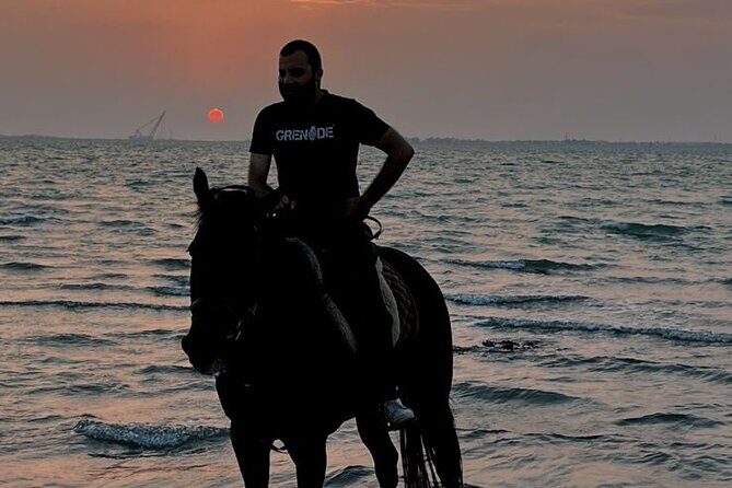 Private Horse Riding Experience at Red Sea - FAQ