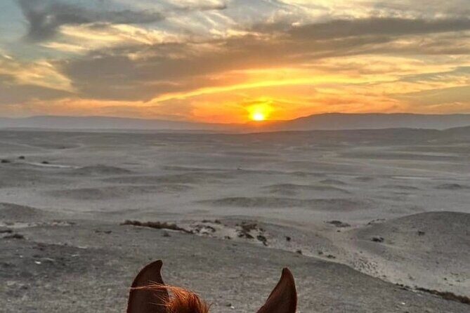 Private Horse Riding Tour in Luxor West Bank - Final Thoughts