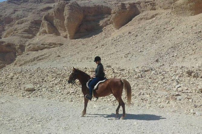 Private Horse Riding Tour in Luxor West Bank - FAQ