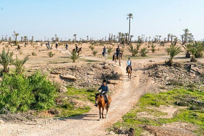 Private horseback ride in the Palmeraie of Marrakech - Introduction
