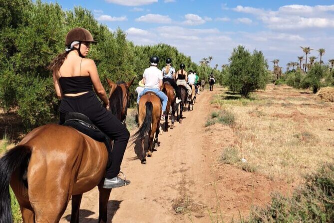Private horseback ride in the Palmeraie of Marrakech - Key Points