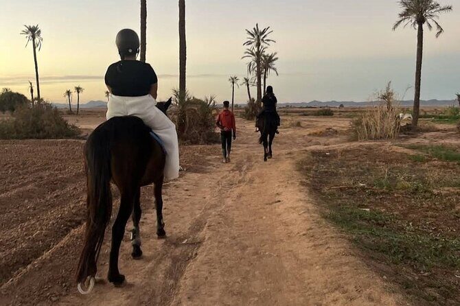 Private horseback ride in the Palmeraie of Marrakech - The Practicalities: Is It Worth It?
