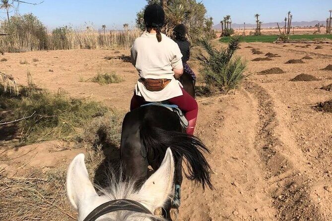 Private horseback ride in the Palmeraie of Marrakech - FAQ