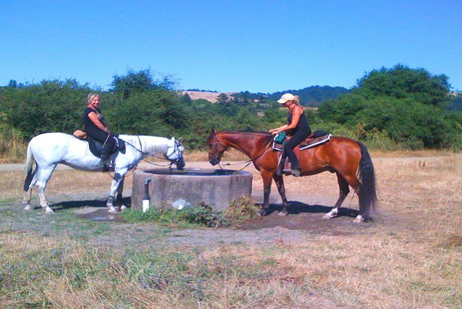 Private Horseback Riding and Muir Woods Adventure from San Francisco - How this tour offers more than just sightseeing