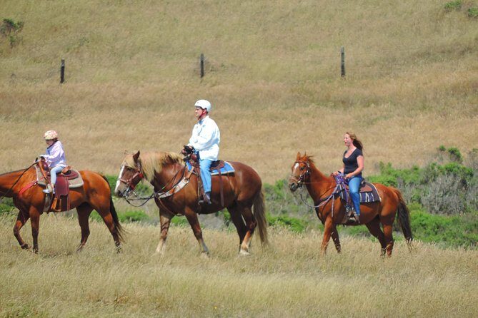 Private Horseback Riding and Muir Woods Adventure from San Francisco - Final thoughts