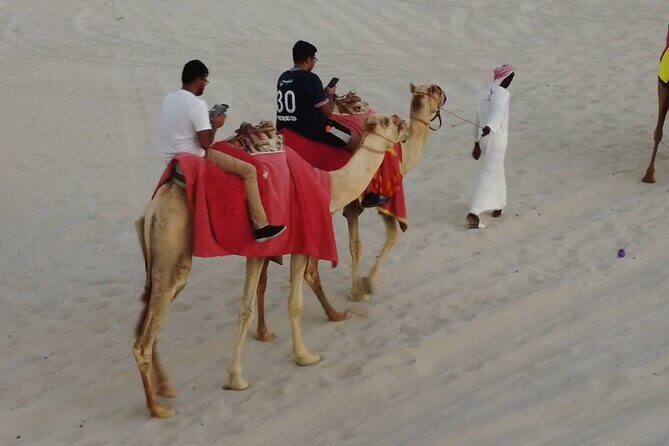 Private Horseback Riding Experience in Doha - The Sum Up: Who Should Consider This Tour?