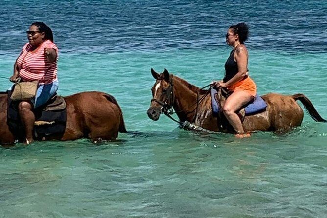 Private Horseback Riding from Ocho Rios with Guide - An Overview of What You’ll Experience
