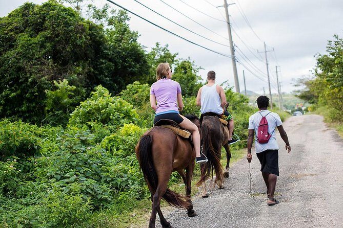 Private Horseback Riding from Ocho Rios with Guide - The Details That Matter: Itinerary Breakdown