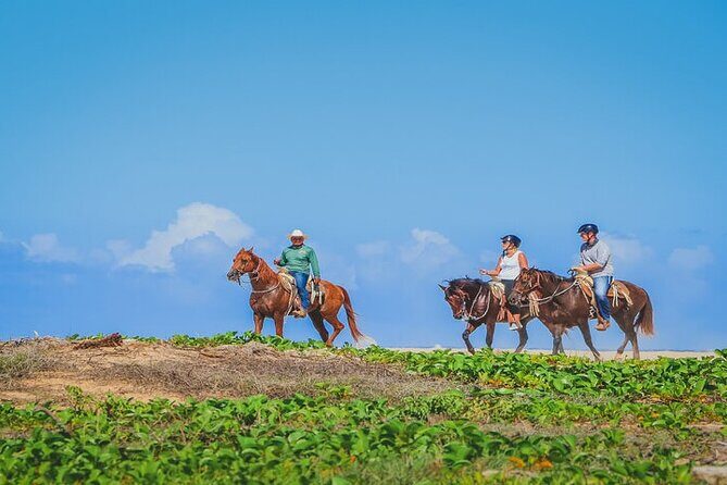 Private Horseback Riding in Cabo San Lucas - Unique Highlights and Authentic Touches