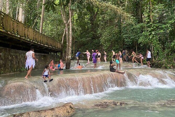 Private Horseback Riding, Swimming and Dunn's River Falls Tour - An In-Depth Look at the Tour Experience