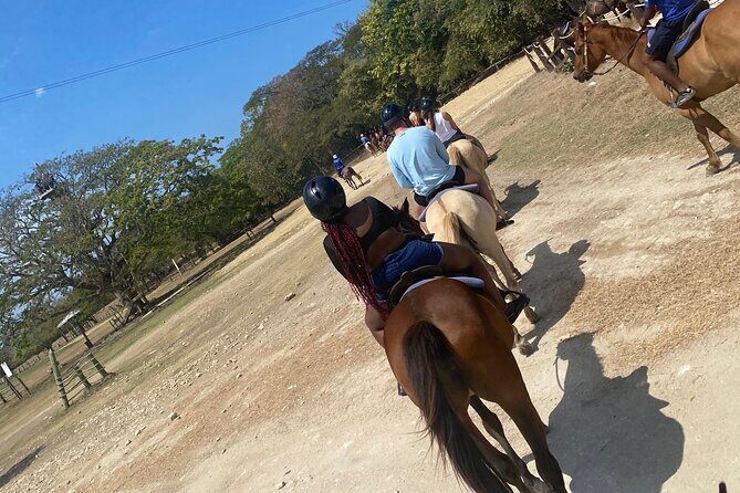 Private Horseback Riding with Blue Hole River Tour in Montego Bay - The Itinerary: What to Expect from Start to Finish