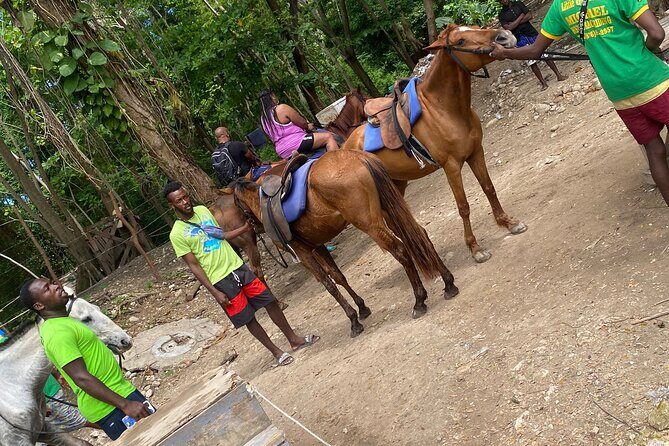 Private Horseback Riding with Blue Hole River Tour in Montego Bay - Deep Dive: Why This Tour Offers Good Value