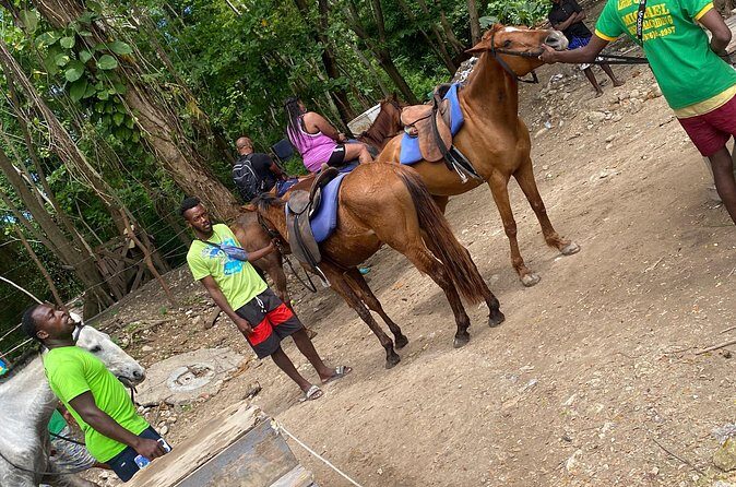 Private Horseback Riding with Blue Hole River Tour in Montego Bay - The Sum Up: Who Will Love This Tour?