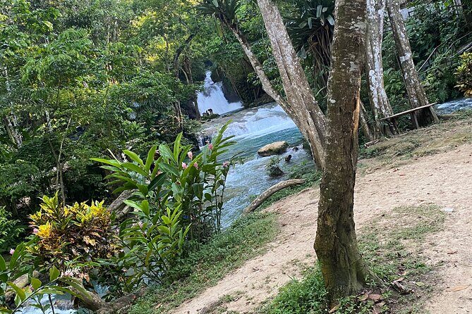 Private Horseback Riding with Blue Hole River Tour in Montego Bay - FAQ