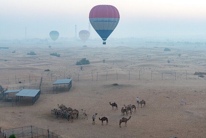 Private Hot Air Balloon Tour over the Dubai Desert - An In-Depth Look at the Hot Air Balloon Experience
