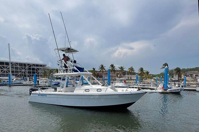 Private Huatulco Whale & Dolphin Adventures - Why This Tour Works Well