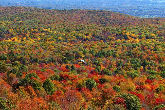 Private Hudson Valley Fall Foliage Helicopter Charter from Manhattan - What Past Travelers Say
