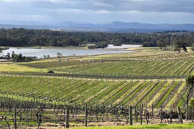 Private Hunter Valley Wine Day Tour from Sydney luxury Mercedes - Final Thoughts