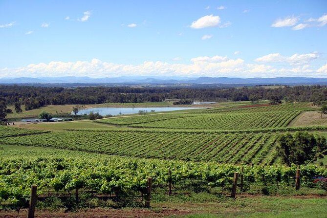 Private Hunter Valley Wine-Tasting Day Tour from Sydney - Key Points