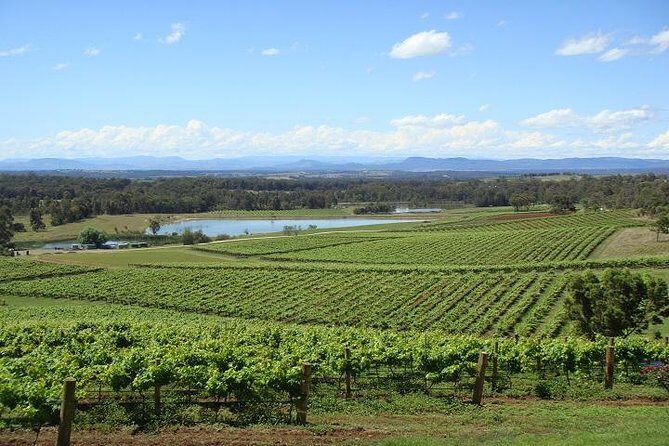 Private Hunter Valley Wine-Tasting Day Tour from Sydney - Introduction to the Tour