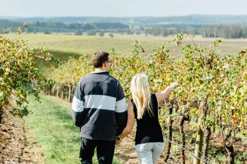 Private Hunter Valley Wine Tour Departing from Newcastle - Key takeaways