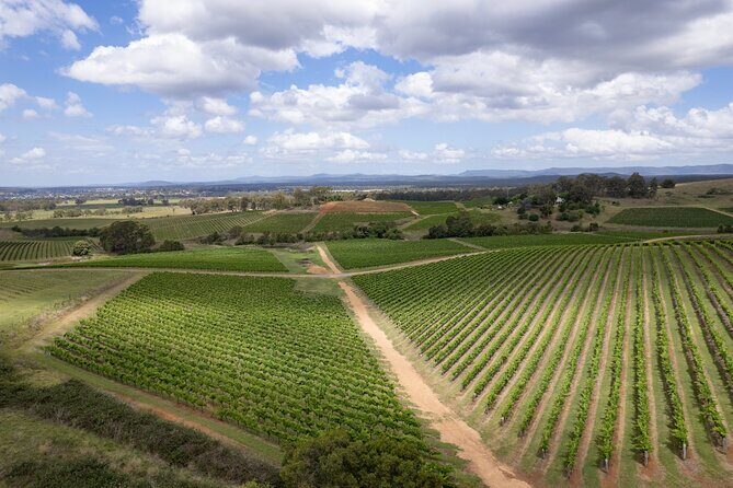 Private Hunter Valley Wine Tour from Sydney Tasting Day Trip - Key Points