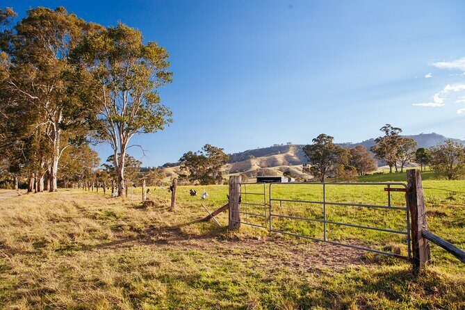 Private Hunter Valley Wine Tour from Sydney Tasting Day Trip - The Experience: What Travelers Can Expect