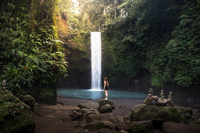 Private Inclusive Tour: The Best Of Ubud With Jungle Swing - Key Points