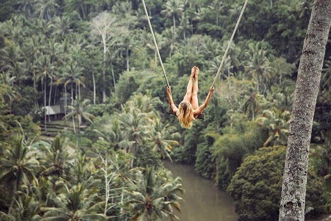 Private Inclusive Tour: The Best Of Ubud With Jungle Swing - A Deep Dive into the Tour Experience
