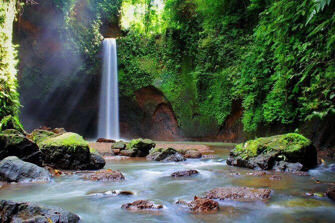 Private Inclusive Tour: The Best Of Ubud With Jungle Swing - Final Thoughts: Who Is This Tour For?