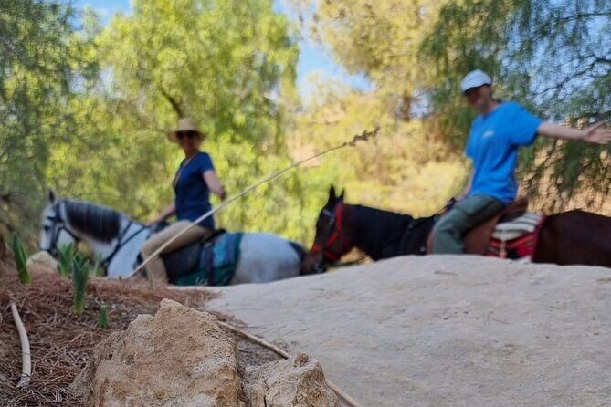 Private Indiana-Jones Archeological Trail Tour - Final Thoughts