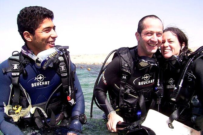 Private Intro Scuba Dive Aqaba Coral Reefs - Key Points