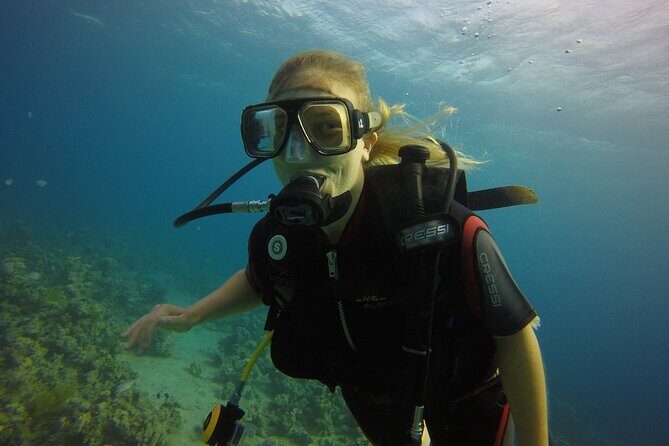 Private Intro Scuba Dive Aqaba Coral Reefs - What to Expect During Your Dive