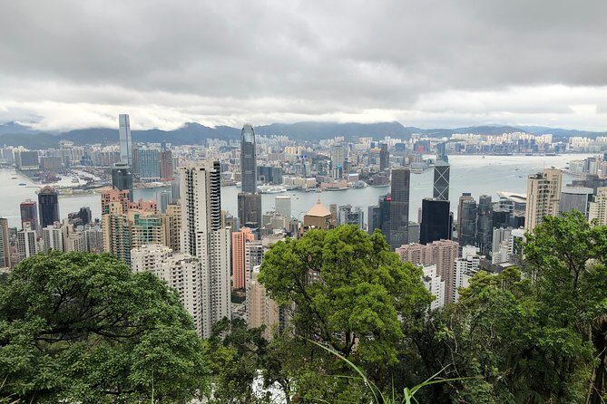 Private Introduction to Hong Kong Walking Tour - Begin with a View: Victoria Peak