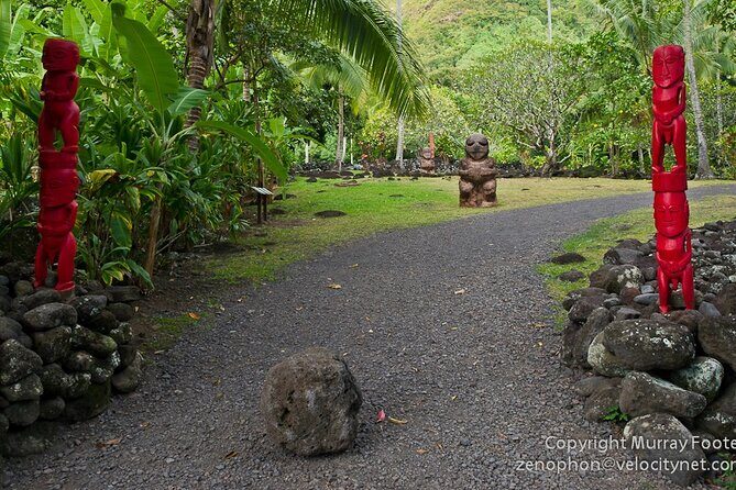Private Island Tour ( 5 HOURS) - What You Can Expect from the Experience