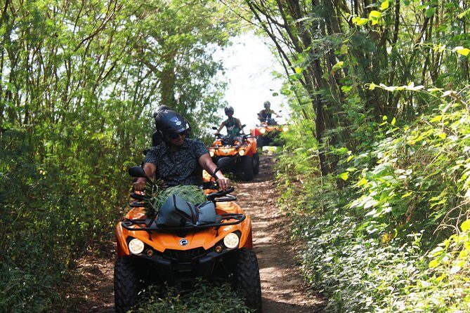Private Island Tour by ATV / QUAD - Who Should Consider This Tour?
