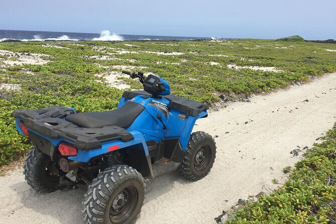 Private Island Tour in Hawaii with Pickup Included - The Bottom Line: Who Is This Tour Best For?
