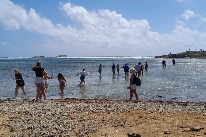 Private Island Tour in St. Maarten - Key Points
