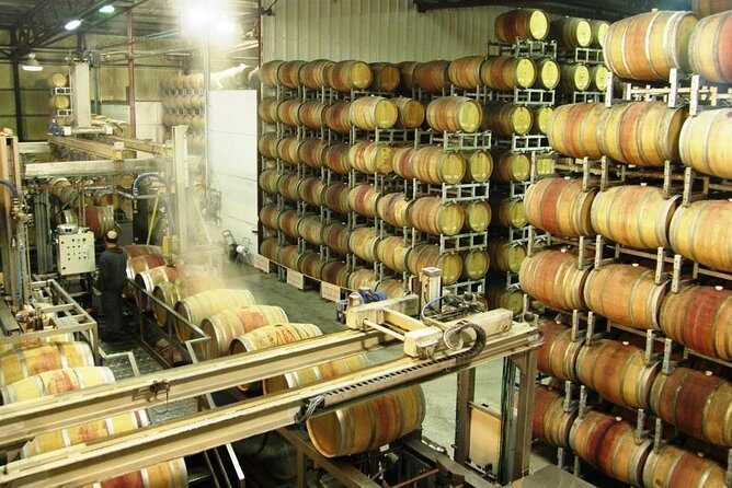 Private Israeli Wines Tour of the Central Israel - Exploring the Heart of Israel’s Wine Country