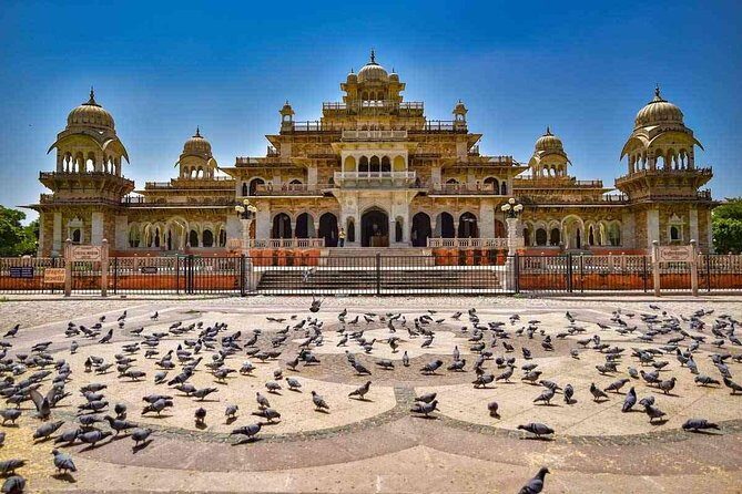 Private Jaipur Sightseeing Tour By Tuk Tuk Rickshaw - The Reviews Speak for Themselves
