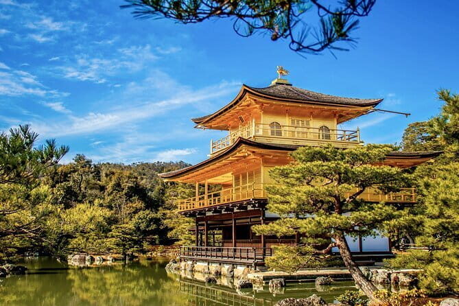 Private Japanese Ancient Tour from Kyoto to Nara - Final Thoughts