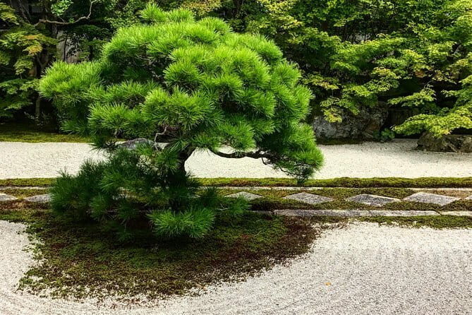 Private Japanese Ancient Tour from Kyoto to Nara - FAQ