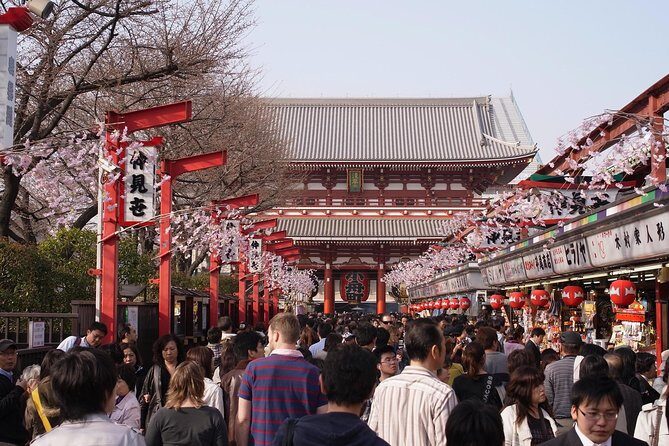 Private Japanese Sample Food Making and Asakusa History Tour - Who Will Appreciate This Tour?